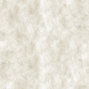 杜邦纸，白色纹理纸