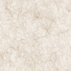 杜邦纸透光纸贴图8