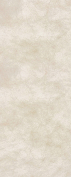 米色杜邦纸贴图