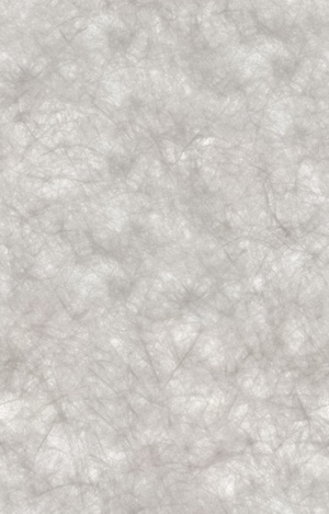 无缝杜邦纸透光纸贴图