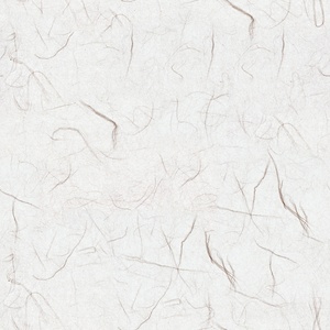 无缝杜邦纸透光纸宣纸贴图