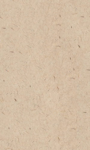 无缝米黄色宣纸毛边纸贴图 (2)