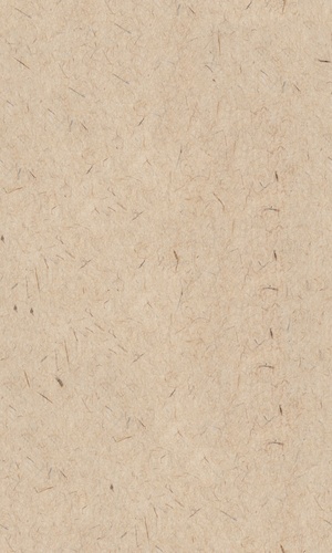 无缝米黄色宣纸毛边纸贴图