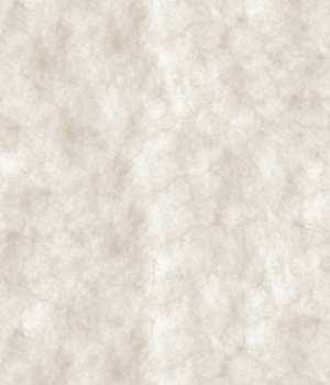 无缝暖白杜邦纸透光纸贴图 (3)