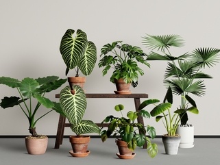 现代绿植盆栽组合SU模型
