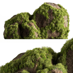  苔藓_苔藓石_石头 