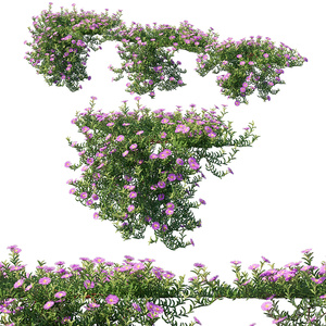 23-藤曼，悬挂绿植植物其他绿植3D模型 (1)