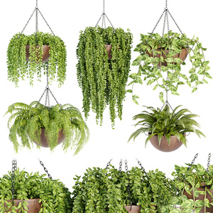 25-盆栽_悬挂植物盆绿植吊篮吊装植物栽3D模型 (1)