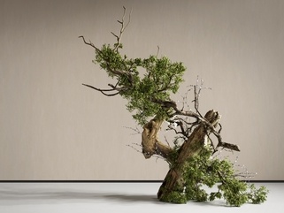 侘寂艺术装置_景观装置_木头装置_根雕雕塑_树枝树干_枯木木头SU模型