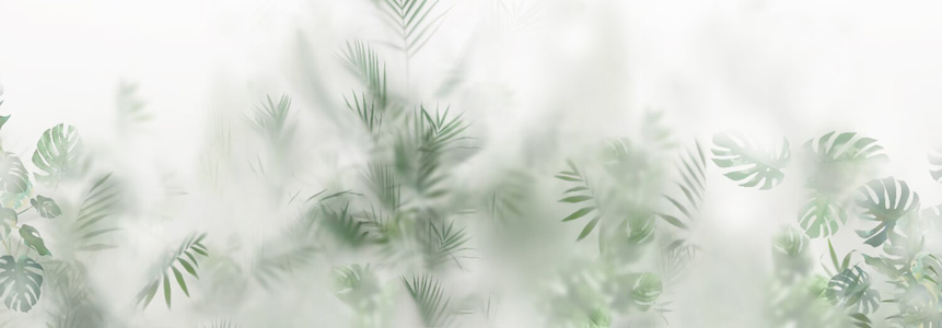 丝雾板冰裂板竹影板磨砂玻璃植物玻璃贴图