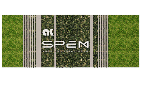 现代绿植墙，植物墙