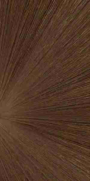 木纹_拼接木_放射性木纹贴图