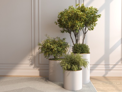 04现代绿植盆栽