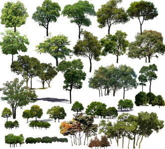 免抠树木配景景观树丛贴图
