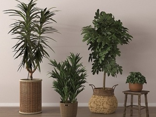 家居植物盆栽SU模型