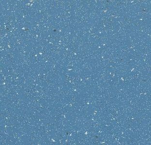 无缝塑胶地板卷材 (2)