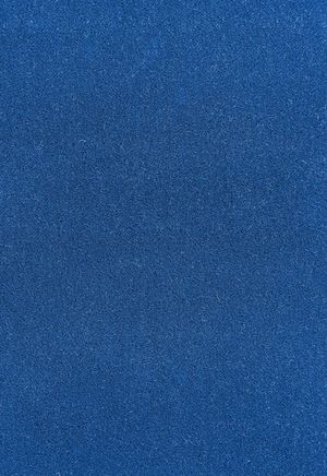 无缝塑胶地板卷材 室外跑到地面卷材(3)