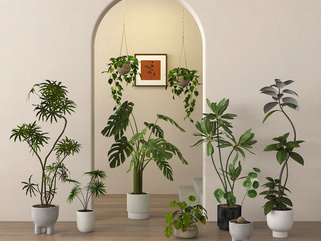 盆栽_绿植盆栽_盆景SU模型