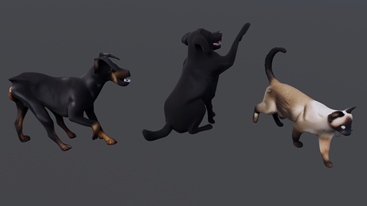 猫狗动物集合