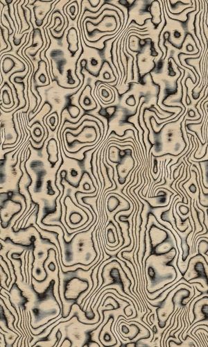 无缝树瘤木饰面 (1)