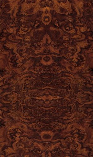 无缝树瘤木饰面 (2)