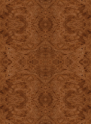 无缝树瘤木饰面 (4)