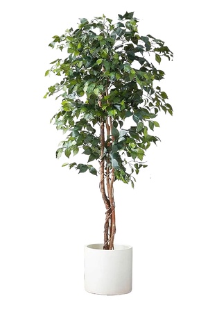 绿植盆栽花盆png免扣素材 (17)