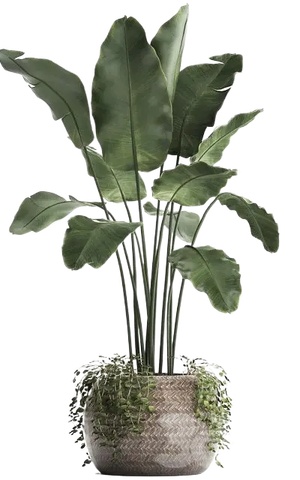 绿植盆栽花盆png免扣素材 (27)