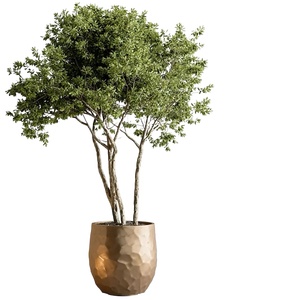 绿植盆栽花盆png免扣素材 (28)