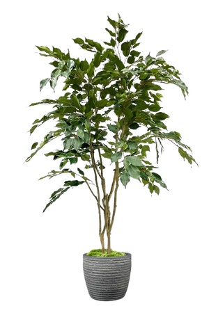 绿植盆栽花盆免扣素材 (3)