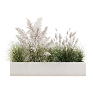 02-花盆绿萝l芦苇草花池 (5)