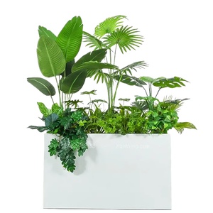 02-花盆绿萝花池png免扣素材 (14)