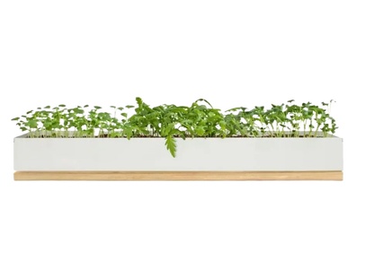 02-花盆绿萝花池png免扣素材 (15)