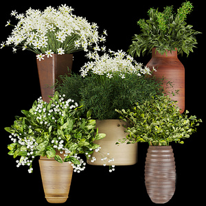 盆栽_花卉_花瓶_盆栽_花盆3D模型