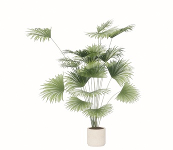 现代绿植植物花盆SU模型