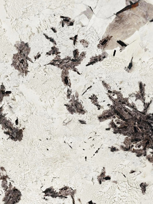 现代轻奢大理石_潘多拉大理石_奢石_岩板贴图 (5)