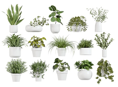 绿萝绿植花盆阳台植物绿植花盆SU模型