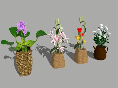 现代植物花卉盆栽 su草图模型