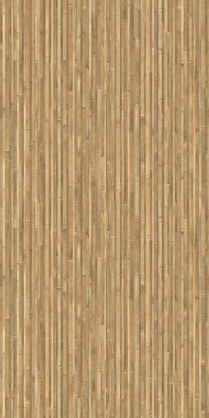 竹子竹竿纹理贴图