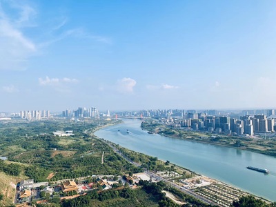 城市高层窗口贴图 (2)