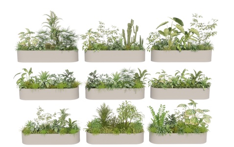 现代植物组合花箱SU模型