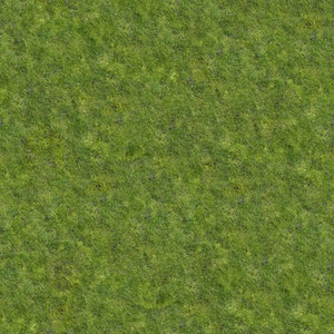 高清无缝自然草地草皮草坡绿地贴图3