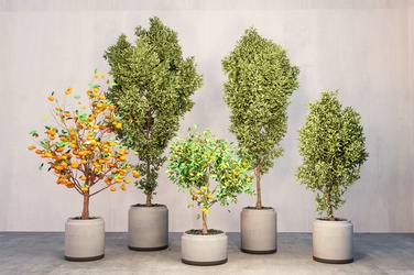 现代绿植盆栽盆景_室内盆景摆件组合SU模型