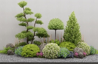 灌木_灌木球_花草组合SU模型