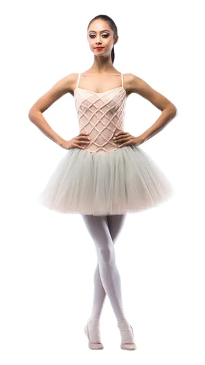 png免扣素材芭蕾舞人物舞台人物天鹅舞人物png免扣素材 (26)