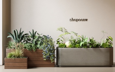 植物组合_花池_户外花箱SU模型