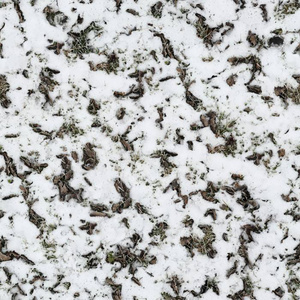 冰冻草地地面贴图