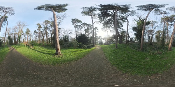 13-ballawley_park森林hdri贴图_16k