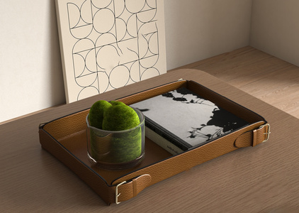 托盘摆件苔藓3D模型