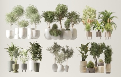 现代绿植，盆栽，盆景SU模型